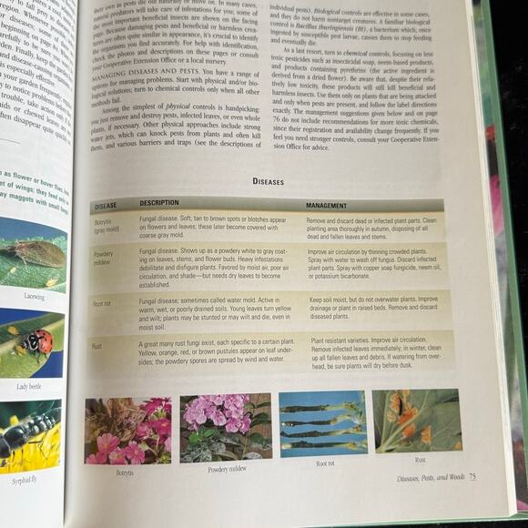 Sunset Annuals and Perennials | 2002 | Vintage Gardening Book - Picture 6 of 10